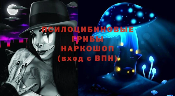 мдпв Абаза