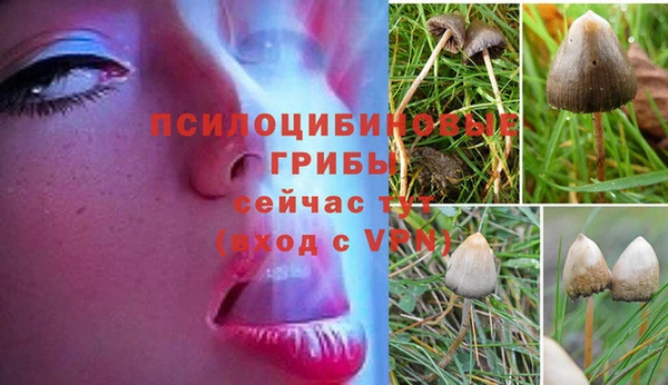 гидропоника Абдулино