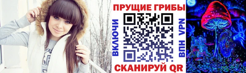 Галлюциногенные грибы ЛСД  магазин  наркотиков  ОМГ ОМГ ТОР  Серафимович 